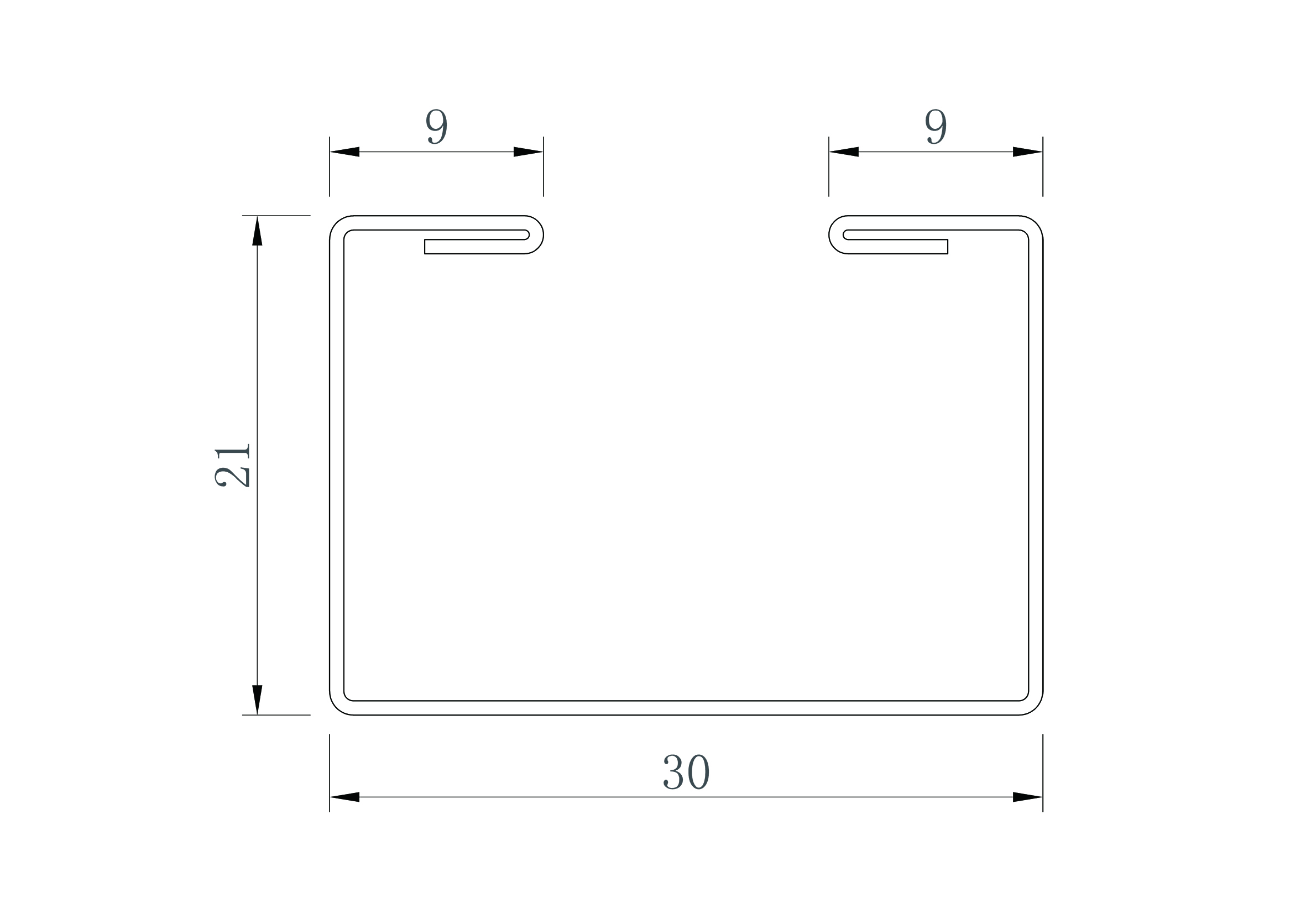 Profile Drawing Dibujo de perfil